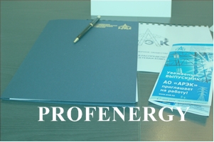 Profenergy